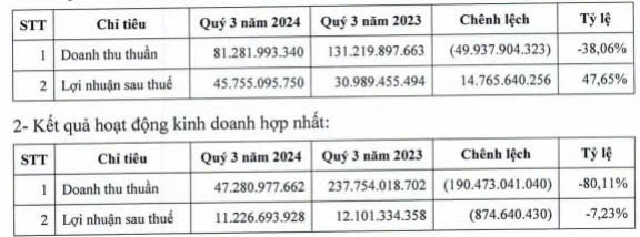 Doanh thu thuần DIC Corp sụt giảm hơn 80%, lỗ trước thuế gần 6 tỷ đồng trong quý III/2024- Ảnh 1.