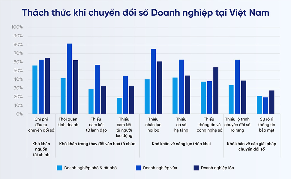 Doanh nghiệp Việt đứng ở đâu trong bức tranh chuyển đổi số?- Ảnh 6.