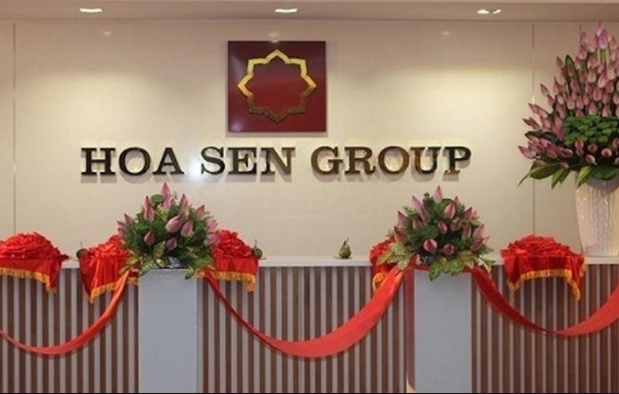 Hoa Sen Group chốt ngày tổ chức ĐHĐCĐ- Ảnh 1.