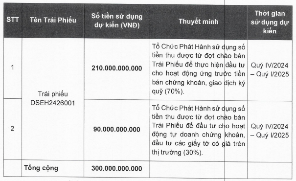 Chứng khoán DNSE chào bán 300 tỷ đồng trái phiếu để bổ sung vốn- Ảnh 1.