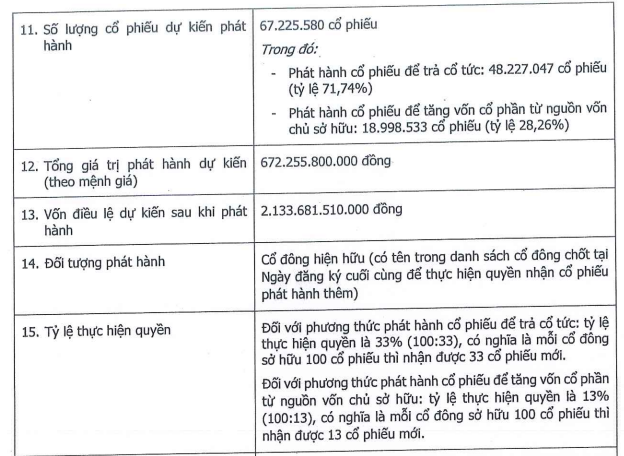 HDBS muốn phát hành 67,2 triệu cổ phiếu thưởng và trả cổ tức- Ảnh 1.