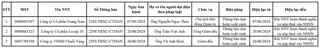 Chủ tịch Trungnam Land bị tạm hoãn xuất cảnh vì nợ thuế- Ảnh 1.