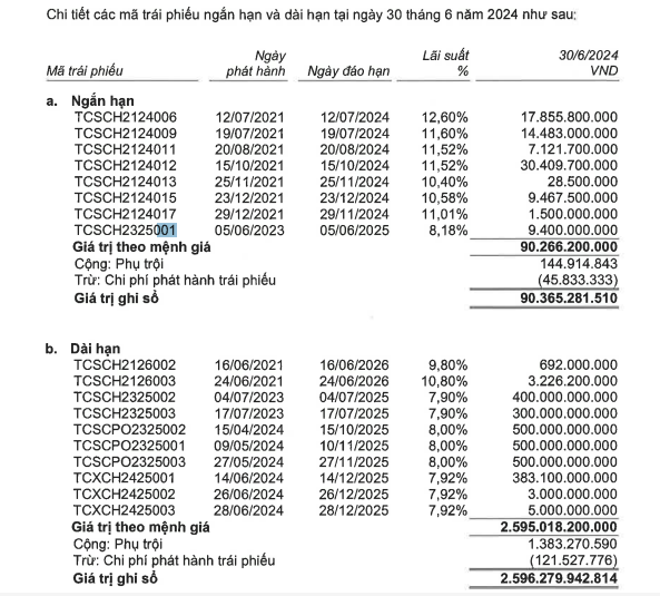 TCBS lập kỷ lục dư nợ margin gần 1 tỷ USD trong quý II/2024- Ảnh 2.