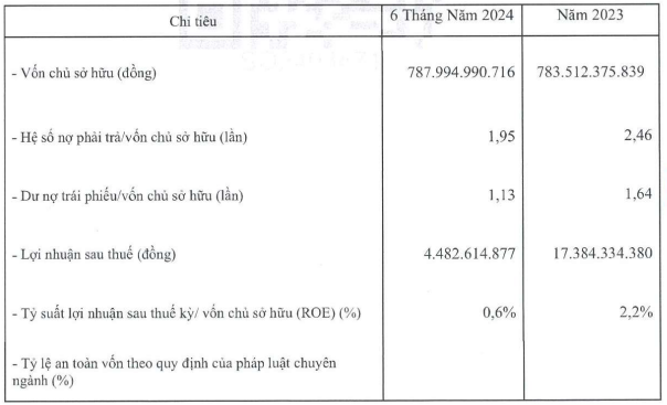 Chủ dự án Lancaster Nam Ô Resort báo lãi giảm 74% trong nửa đầu năm 2024- Ảnh 1.