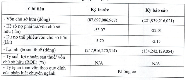 BB Sunrise Power tiếp tục lỗ, âm vốn chủ sở hữu hơn 200 tỷ đồng- Ảnh 1.