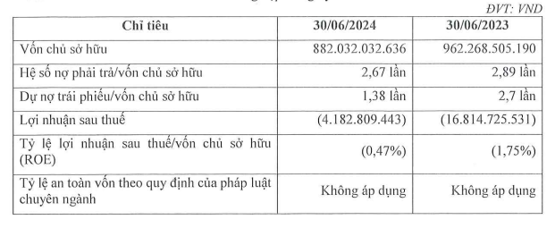 BNP Global lại báo lỗ bán niên, nợ phải trả vượt 23.000 tỷ đồng- Ảnh 1.