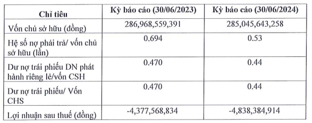 Đầu tư Bệnh viện Việt Mỹ lại báo lỗ bán niên 2024- Ảnh 1.