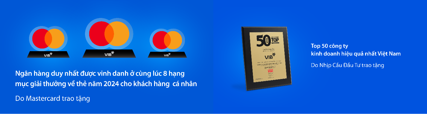 VIB: Lợi nhuận năm 2024 đạt 9.000 tỷ đồng, tăng trưởng tín dụng 22%- Ảnh 4. VIB: Lợi nhuận năm 2024 đạt 9.000 tỷ đồng, tăng trưởng tín dụng 22%- Ảnh 4.
