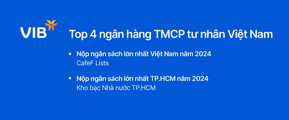 VIB: Lợi nhuận năm 2024 đạt 9.000 tỷ đồng, tăng trưởng tín dụng 22%- Ảnh 6. VIB: Lợi nhuận năm 2024 đạt 9.000 tỷ đồng, tăng trưởng tín dụng 22%- Ảnh 6.