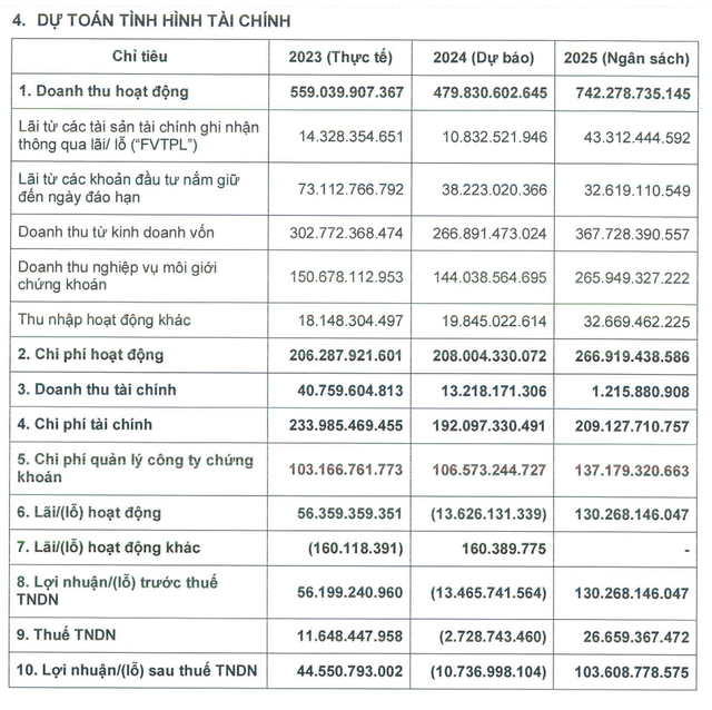 Công ty chứng khoán đầu tiên ước lỗ năm 2024- Ảnh 1.