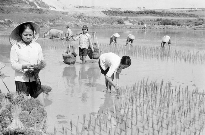 Những đạo luật “mở khóa” tự do kinh doanh cho doanh nghiệp- Ảnh 2.