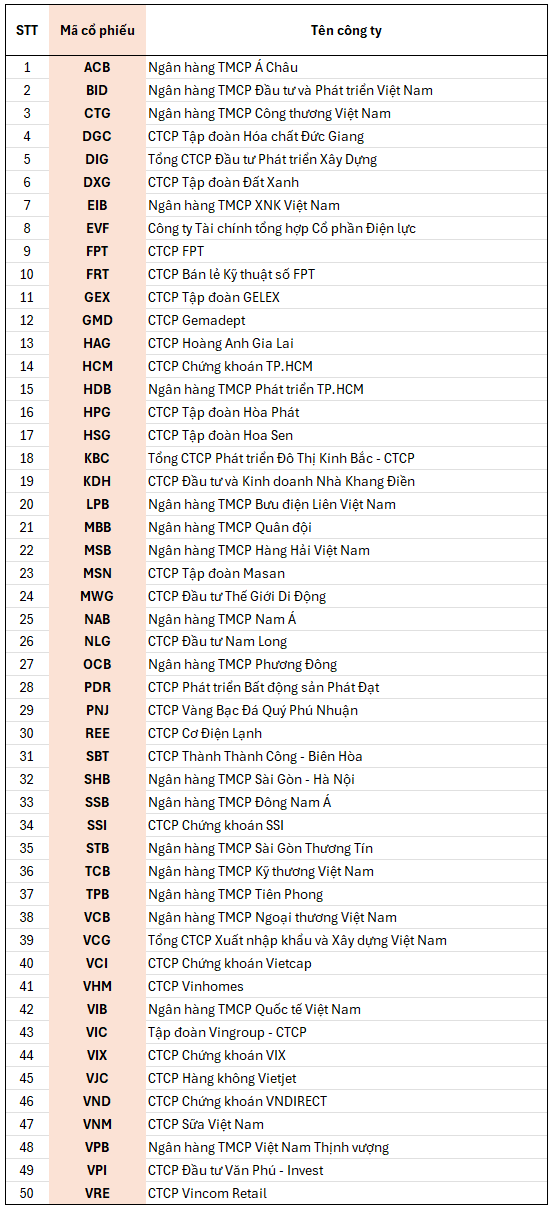 Bộ chỉ số mới VN50 GROWTH gồm những mã cổ phiếu nào? - Ảnh 2. Bộ chỉ số mới VN50 GROWTH gồm những mã cổ phiếu nào? - Ảnh 2.
