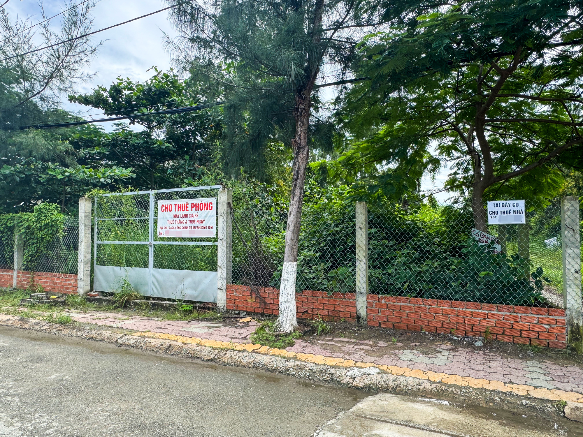 Môi giới dồn dập đổ về Vinhomes Cần Giờ trước trận đánh lớn, nhà nghỉ - khách sạn cháy phòng, giá thuê nhà tăng đột biến - Ảnh 6.