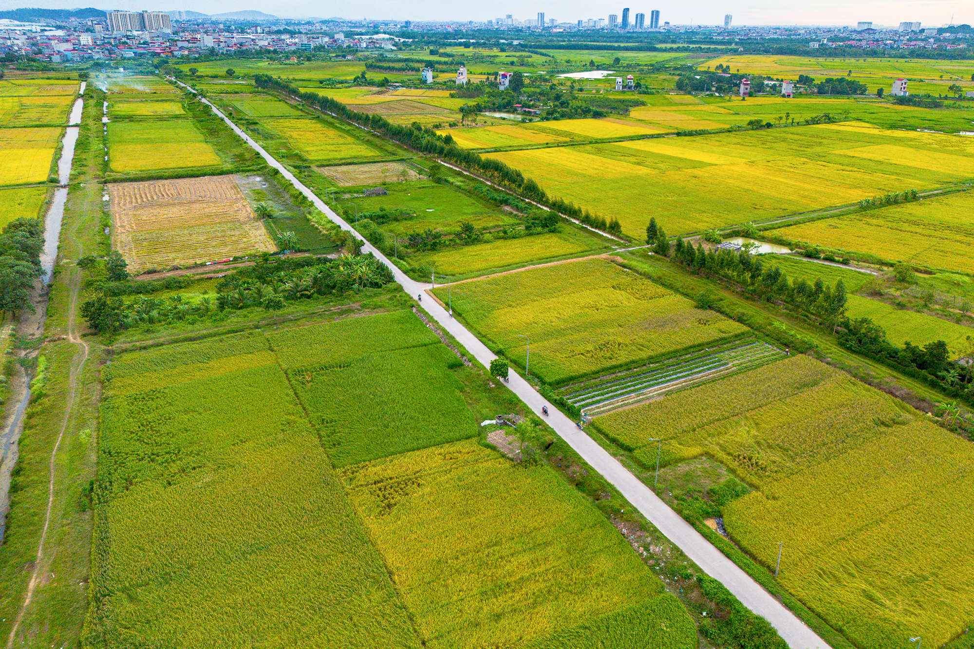 Toàn cảnh khu vực được đề xuất làm khu đô thị rộng gấp 3 lần quận Hoàn Kiếm; Nằm ở tỉnh có loạt ông lớn Vingroup, Sun Group, T&T đang đầu tư - Ảnh 12.