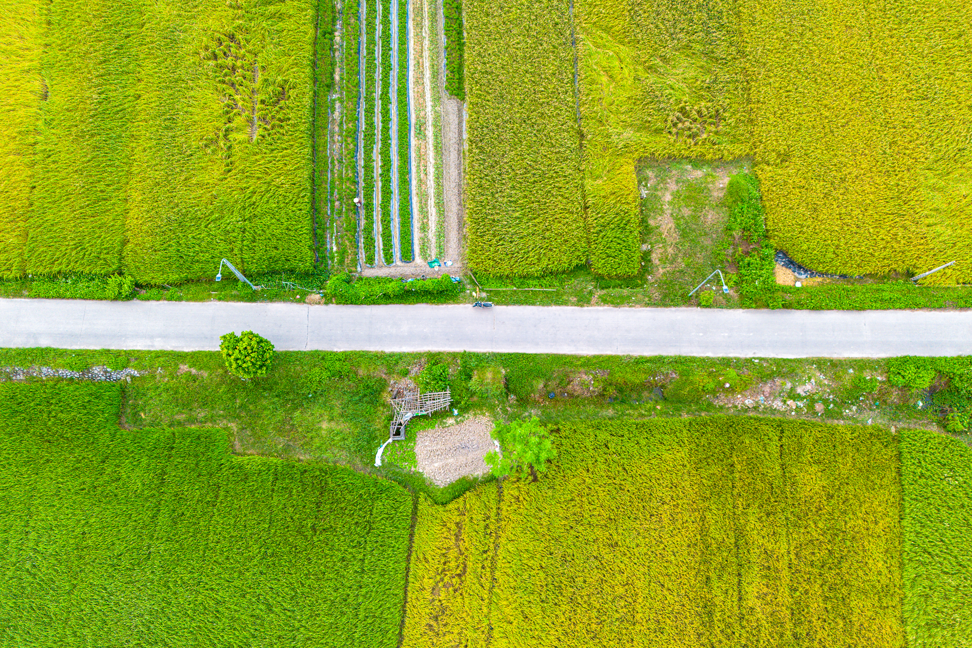 Toàn cảnh khu vực được đề xuất làm khu đô thị rộng gấp 3 lần quận Hoàn Kiếm; Nằm ở tỉnh có loạt ông lớn Vingroup, Sun Group, T&T đang đầu tư - Ảnh 5.