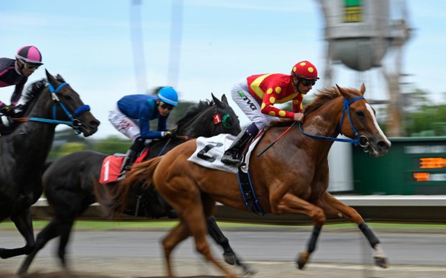 2.000 tỷ đồng lãi gộp mảng môi giới chứng khoán quý 3: Biên lợi nhuận bật lên mức cao nhất 4 năm - Ảnh 1.