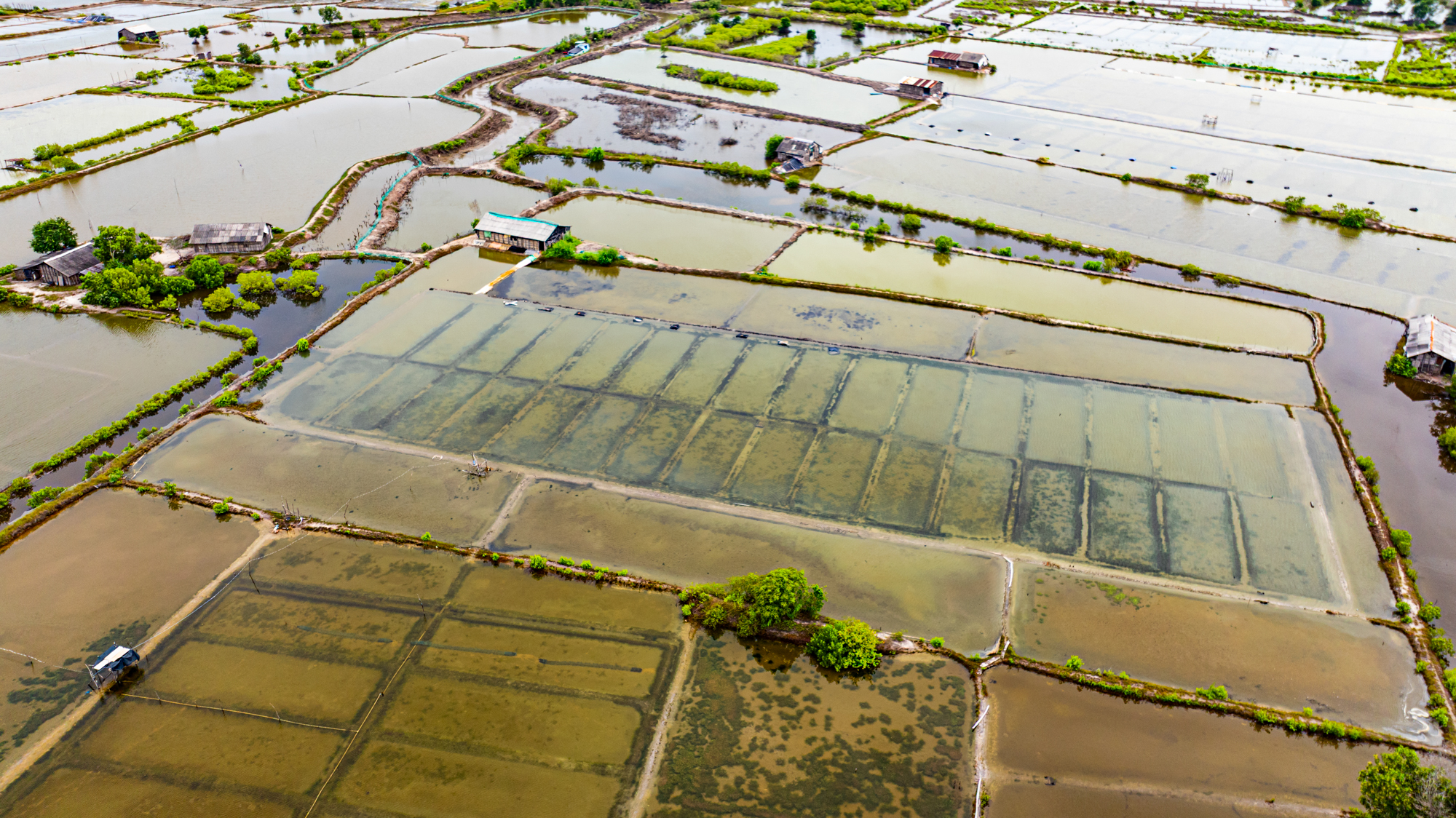Hòn đảo chỉ cách trung tâm Vũng Tàu 3 km từng được đề xuất làm sân bay, nay có thể trở thành khu đô thị mới của Sun Group- Ảnh 10.