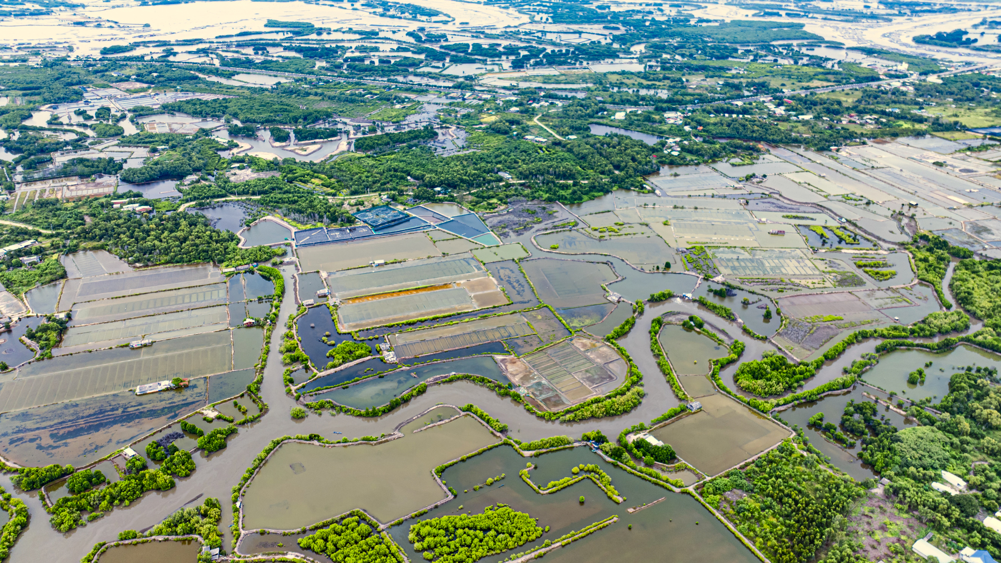 Hòn đảo chỉ cách trung tâm Vũng Tàu 3 km từng được đề xuất làm sân bay, nay có thể trở thành khu đô thị mới của Sun Group- Ảnh 8.