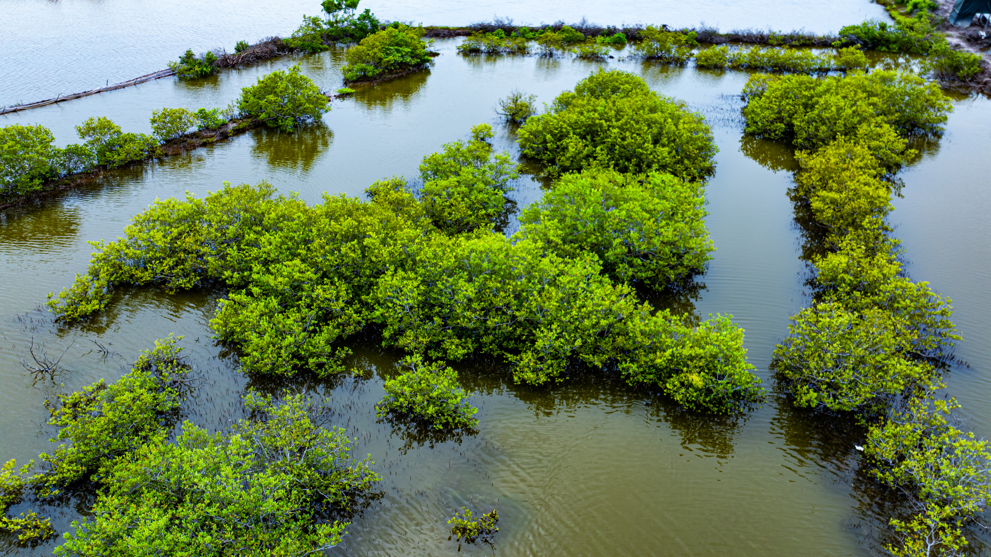 Hòn đảo chỉ cách trung tâm Vũng Tàu 3 km từng được đề xuất làm sân bay, nay có thể trở thành khu đô thị mới của Sun Group- Ảnh 9.