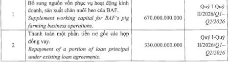 Baf Việt Nam lên kế hoạch phát hành 1.000 tỷ đồng trái phiếu - Ảnh 2.
