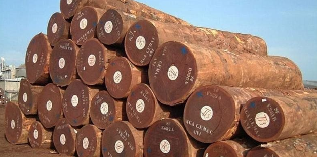 Cứu tinh từ Campuchia đổ bộ giúp Việt Nam cạnh tranh với Thái Lan ngôi vương của thế giới: Thuế nhập khẩu ưu đãi 0%, thế giới đang ngày càng khan hiếm - Ảnh 1.