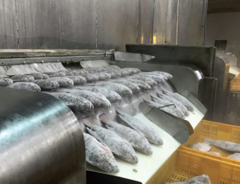 Một sản vật giá rẻ của Việt Nam đang được săn đón mạnh mẽ: Xuất khẩu tăng nóng hơn 300%, Mỹ cực kỳ ưa chuộng - Ảnh 1.