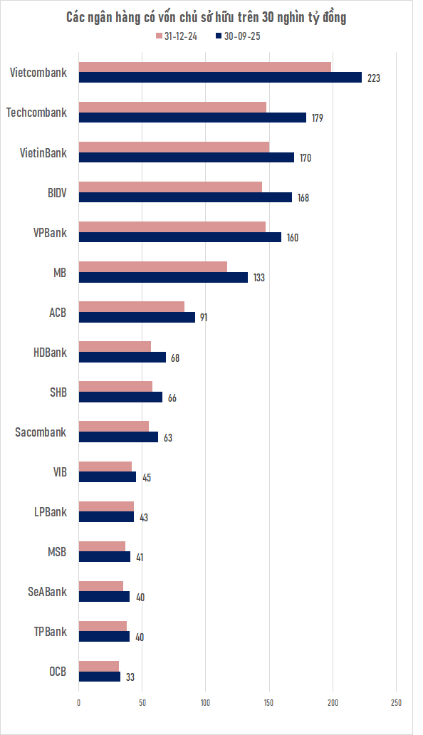 Ngân hàng Việt duy nhất có vốn chủ sở hữu trên 8 tỷ USD - Ảnh 2.