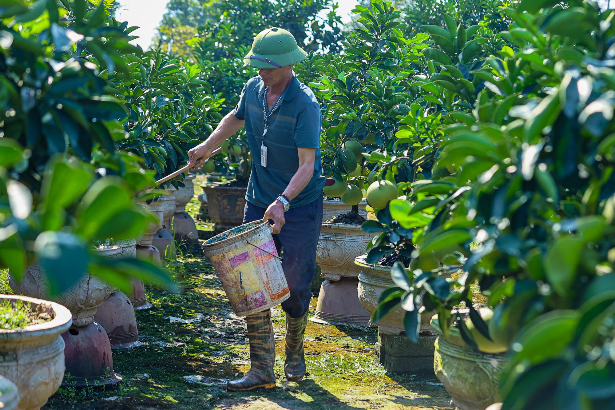 Toàn cảnh khu vực sắp xây sân vận động lớn nhất Việt Nam tại Hưng Yên: Sức chứa 60.000 chỗ ngồi, mái vòm đóng mở tự động - Ảnh 9.