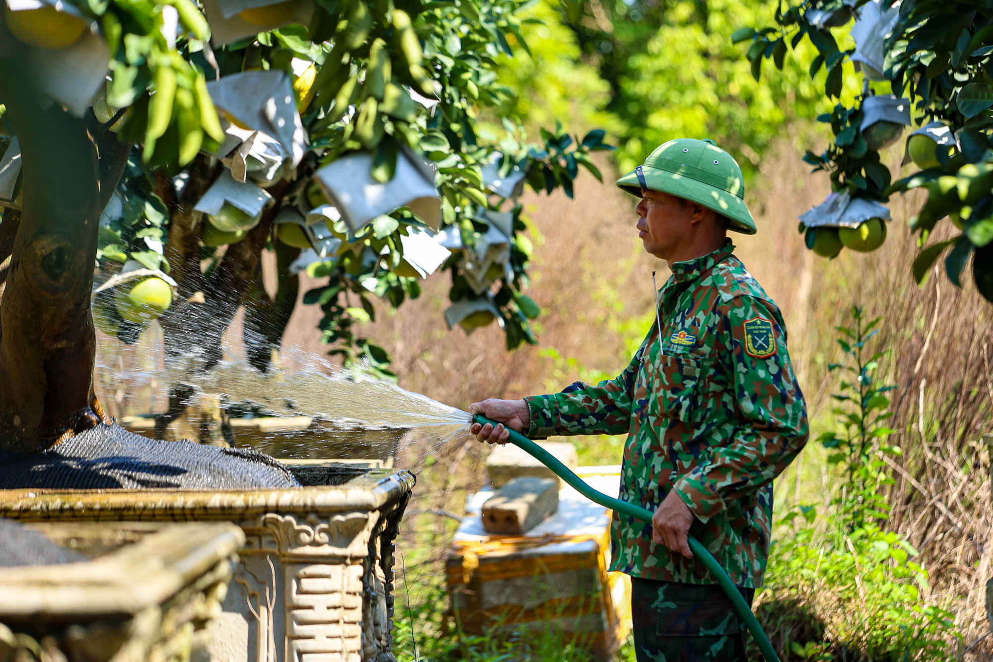 Toàn cảnh khu đất gần các đại dự án của Vinhomes, Ecopark, Sunshine… sắp trở thành “thành phố đại học” của 30.000 sinh viên Bách Khoa - Ảnh 10.
