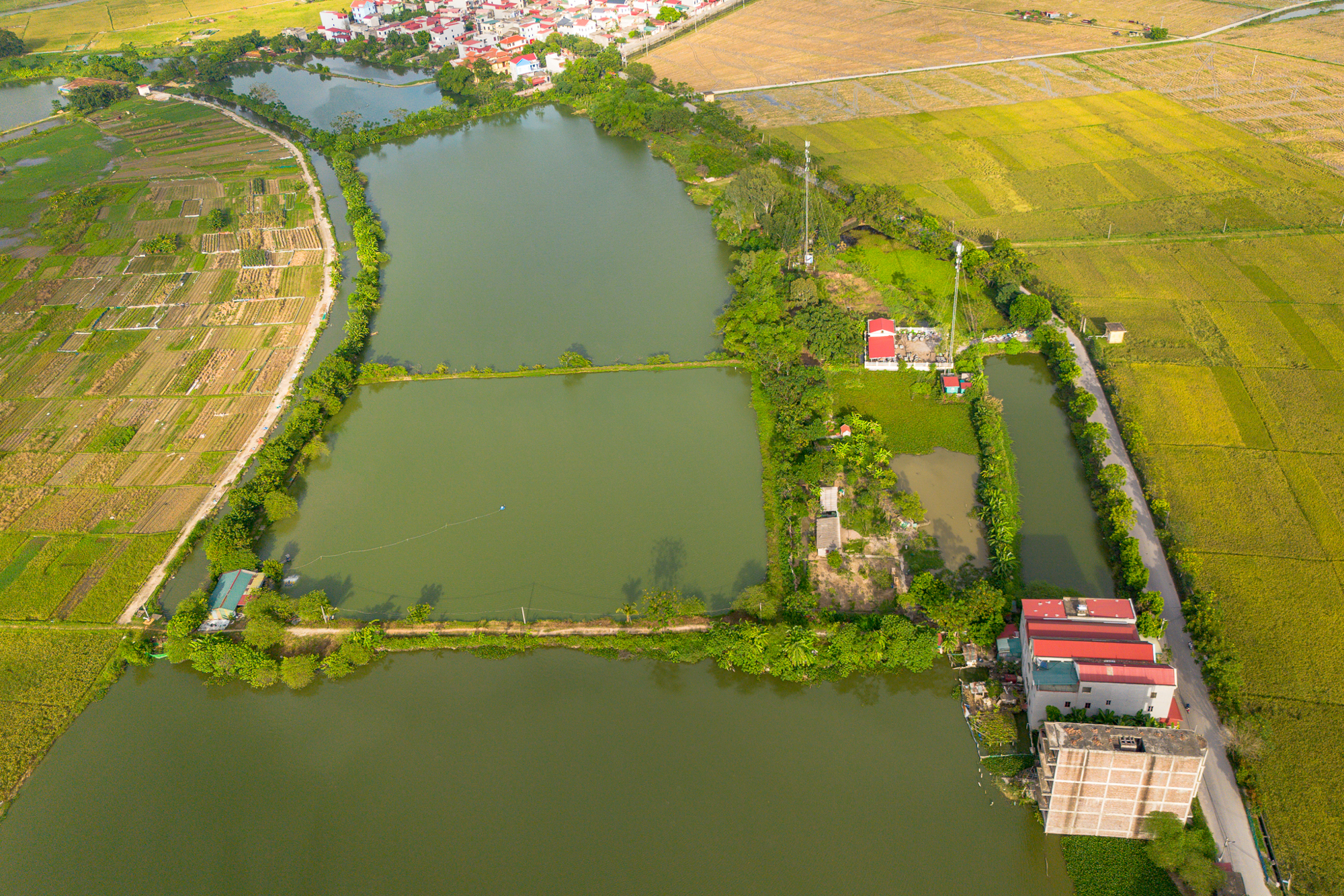 Toàn cảnh khu đất rộng gấp rưỡi phường Hoàn Kiếm, sắp được Vingroup đầu tư 41.000 tỷ làm khu đô thị ở Bắc Ninh - Ảnh 11.