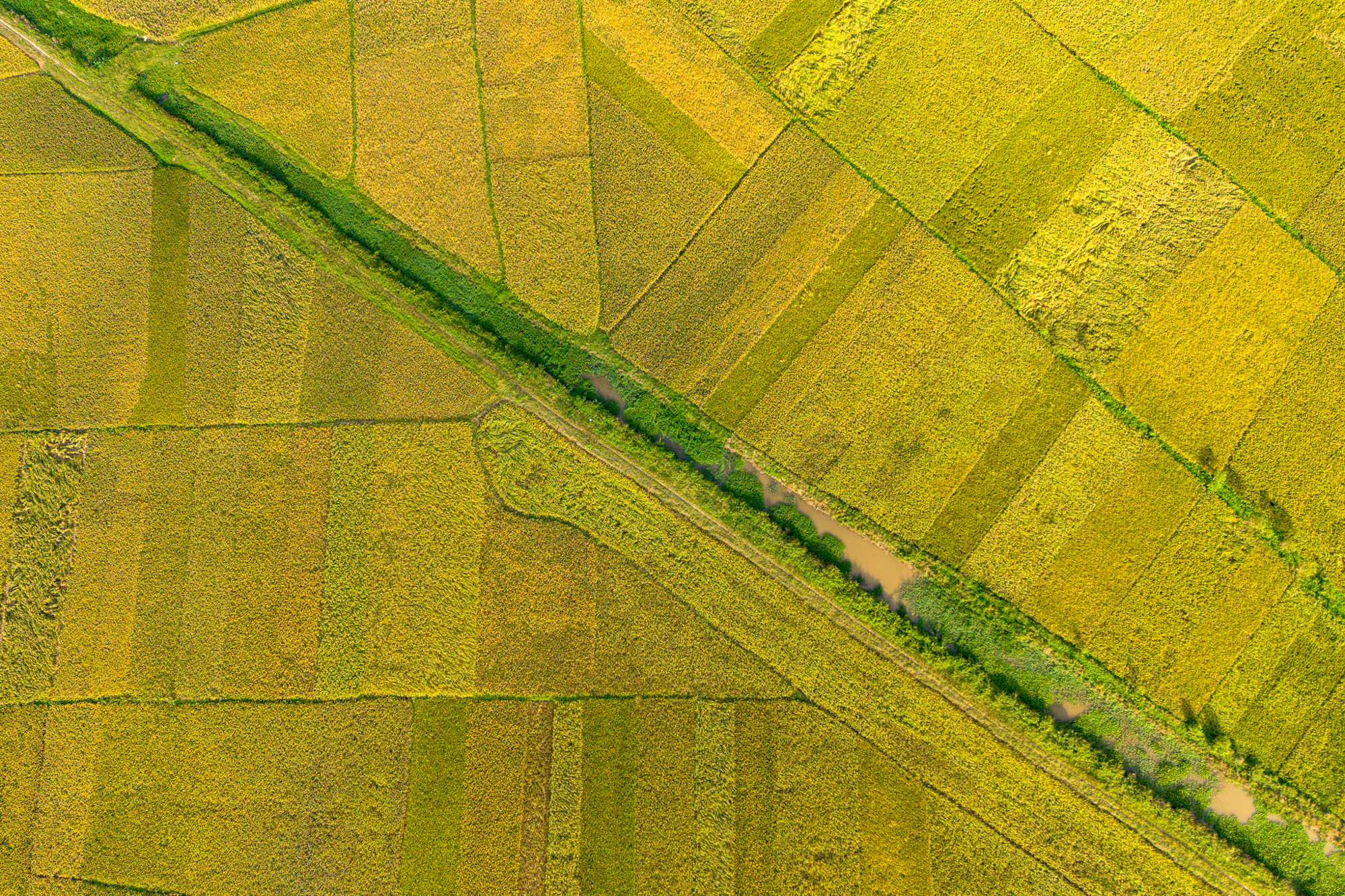 Toàn cảnh khu đất rộng gấp rưỡi phường Hoàn Kiếm, sắp được Vingroup đầu tư 41.000 tỷ làm khu đô thị ở Bắc Ninh - Ảnh 6.