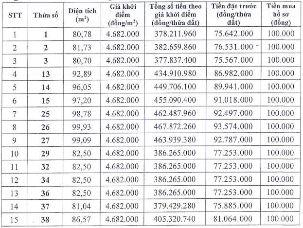 Hà Nội đấu giá loạt khu đất vào cuối tháng 12/2025 - Ảnh 1.