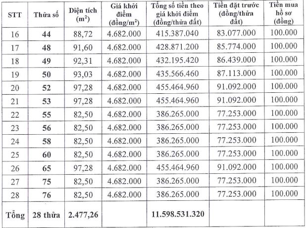 Hà Nội đấu giá loạt khu đất vào cuối tháng 12/2025 - Ảnh 2.