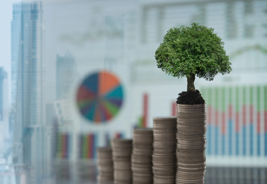 Năng lực tài chính – Yếu tố then chốt của các định chế tài chính trong năm 2025 - Ảnh 1.