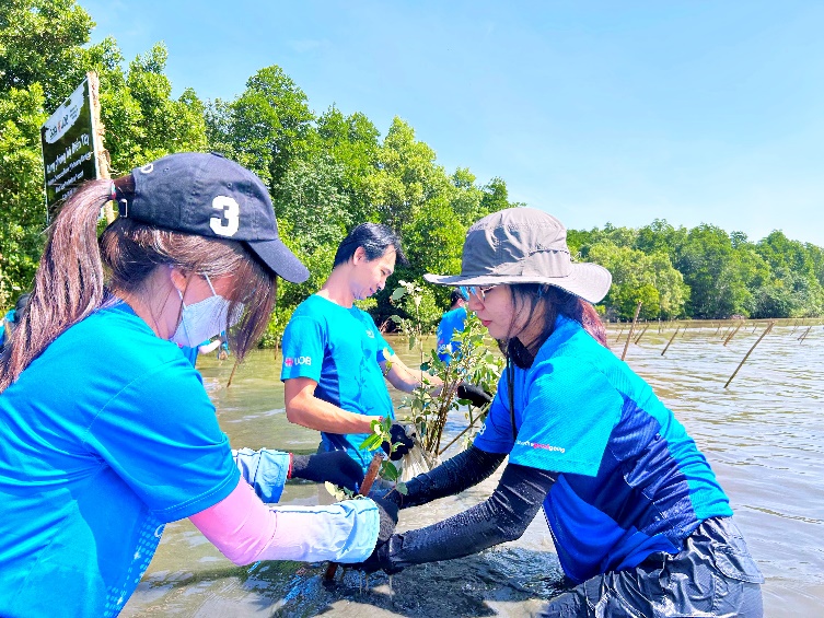 Ngân hàng UOB Việt Nam khởi động dự án trồng 10.000 cây tại rừng phòng hộ Biển Tây, chung tay vì nỗ lực chống biến đổi khí hậu ở Việt Nam - Ảnh 2.