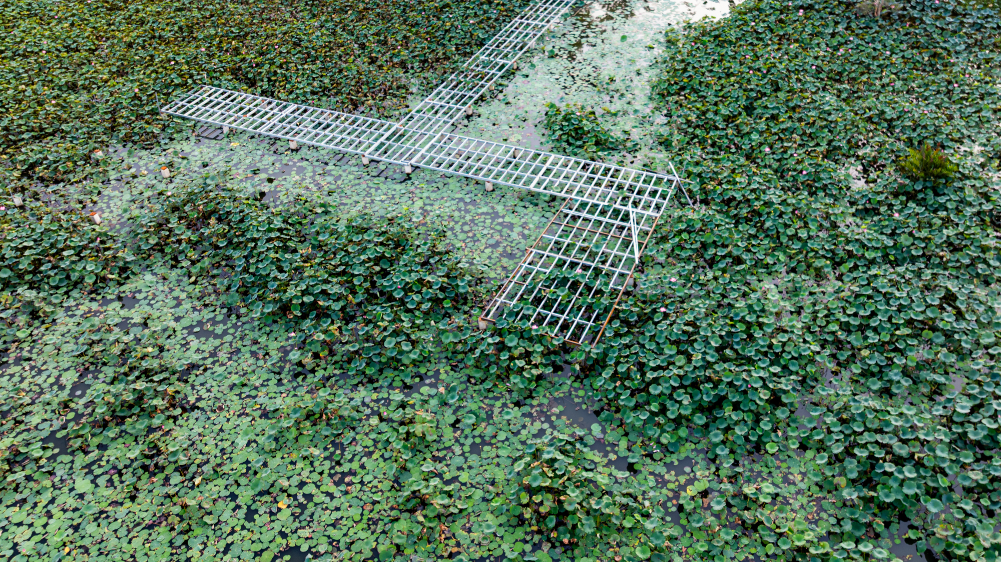 Khu vực sẽ là ga cuối của tuyến đường sắt cao tốc 67 tỷ USD: Cách trung tâm TP.HCM chỉ vài km, loạt dự án của Novaland Gamuda hưởng lợi - Ảnh 5.