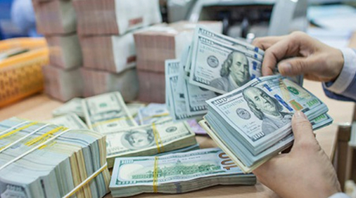 Vingroup nêu kiến nghị sử dụng vốn vay nước ngoài trong thời gian tạm thời 'nhàn rỗi', NHNN nói gì? - Ảnh 1.