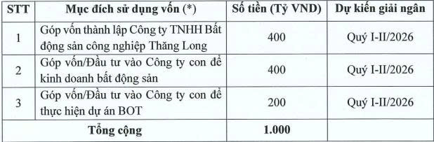 Cổ đông Tổng Công ty Thăng Long chốt phương án chào bán 100 triệu cổ phiếu riêng lẻ - Ảnh 1.