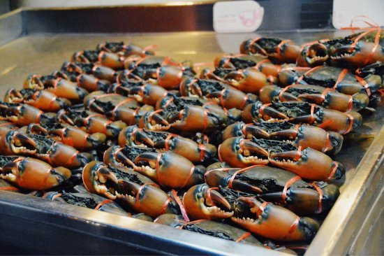 Kho báu dưới nước của Việt Nam "bơi" sang Mỹ, Nhật Bản siêu đắt hàng: xuất khẩu tăng khủng hơn 600%, chất lượng vượt trội hàng đầu thế giới - Ảnh 1.