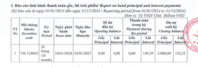 Vingroup báo doanh thu chuyển nhượng bất động sản quý IV/2024 gấp gần 6 lần cùng kỳ- Ảnh 2.