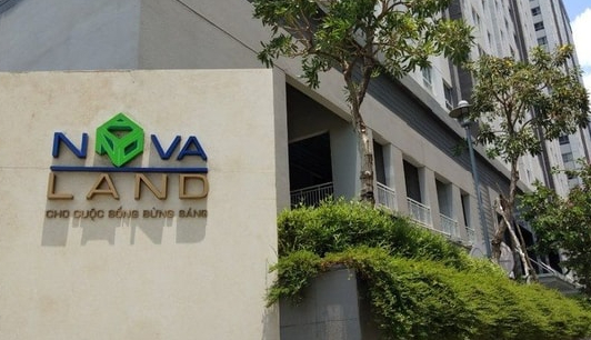 Thay đổi nhân sự tại Novaland- Ảnh 1.