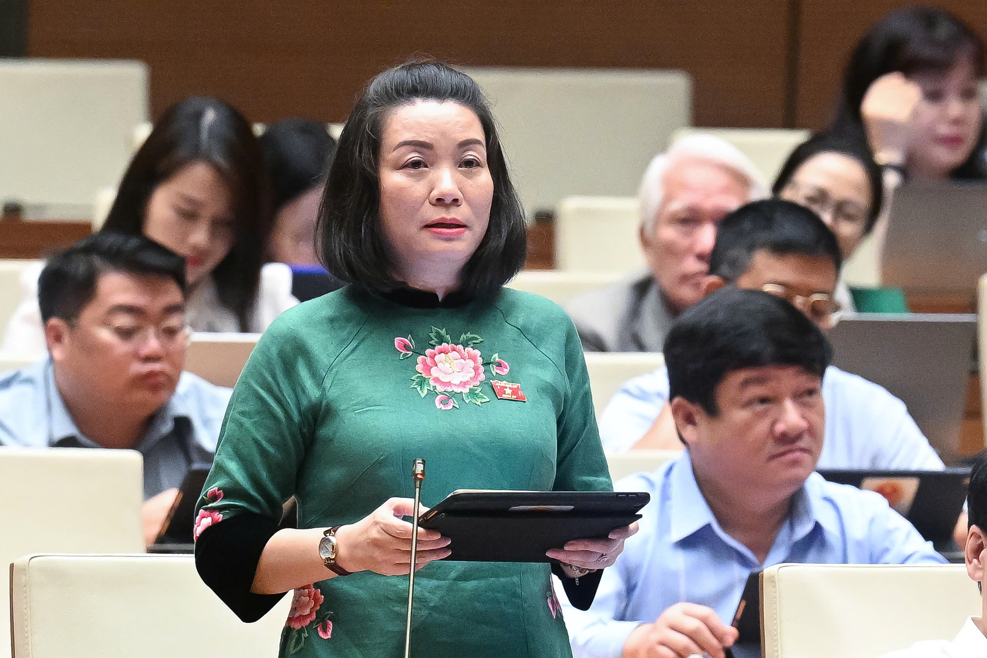 ĐBQH nêu lý do cần thiết giao Viện Kiểm sát khởi kiện vụ án dân sự- Ảnh 2.