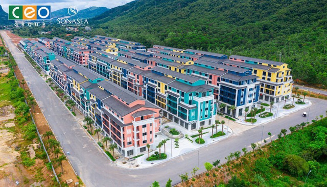 CEO Group sắp phát hành 27 triệu cổ phiếu trả cổ tức 2024 - Ảnh 1.