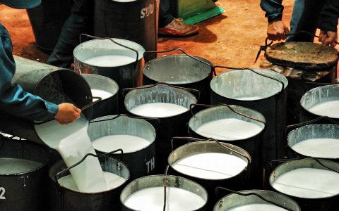 Hàng nghìn tấn 'vàng trắng' của Việt Nam đổ bộ Mỹ với giá đắt đỏ: thuế nhập khẩu 7%, Việt Nam là ông trùm top 3 thế giới - Ảnh 1.