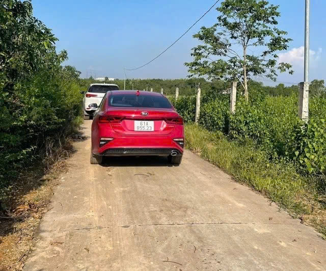 Đất vườn phía Nam có diễn biến “lạ”- Ảnh 1. Đất vườn phía Nam có diễn biến “lạ”- Ảnh 1.