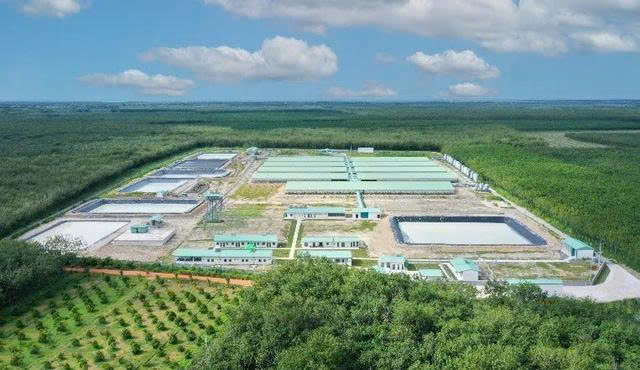 Baf Việt Nam muốn chuyển nhượng một công ty con - Ảnh 1.