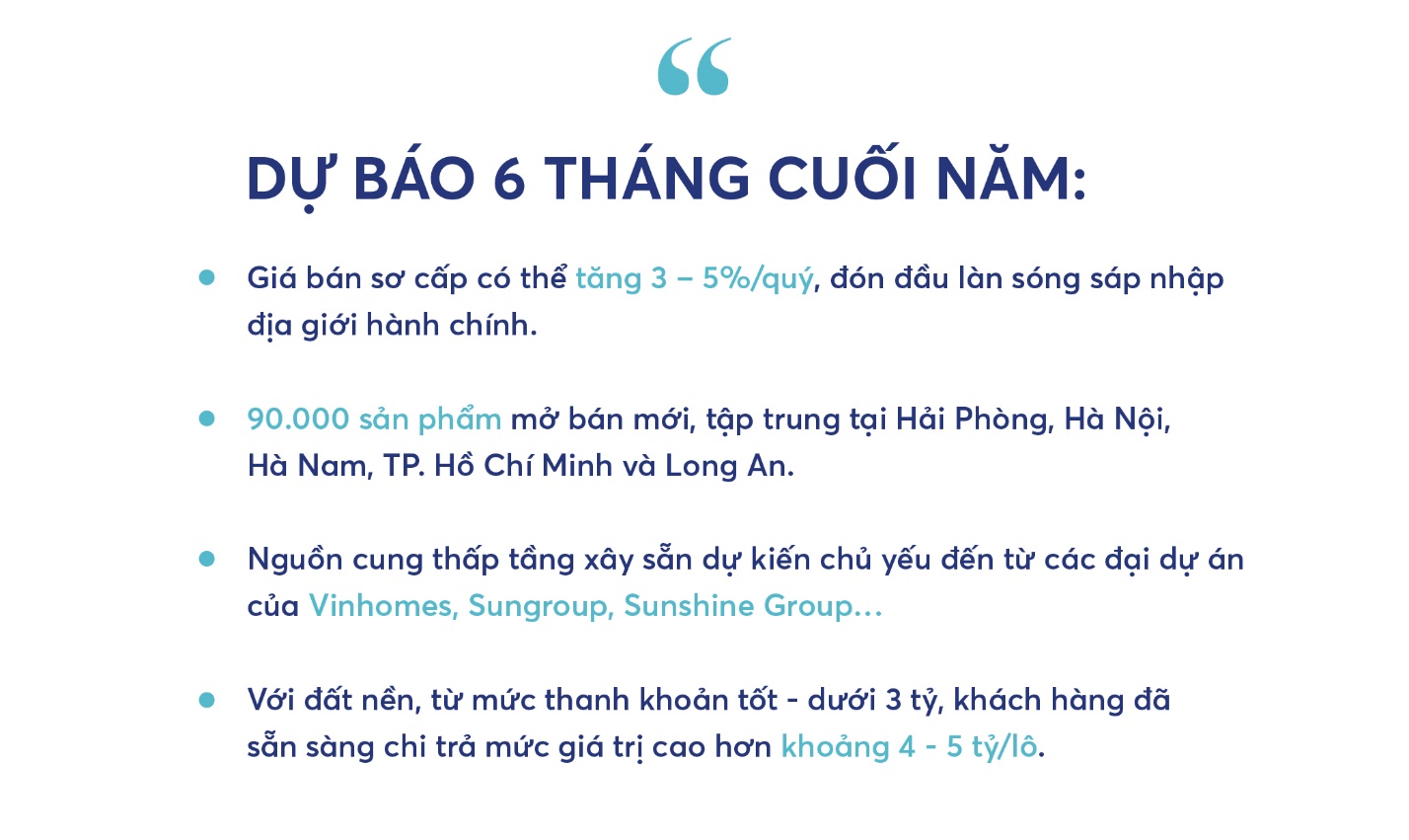 BHS R&D: Chung cư giao dịch sôi động nửa đầu 2025, đất nền tỉnh lẻ lên ngôi cuối năm - Ảnh 19.