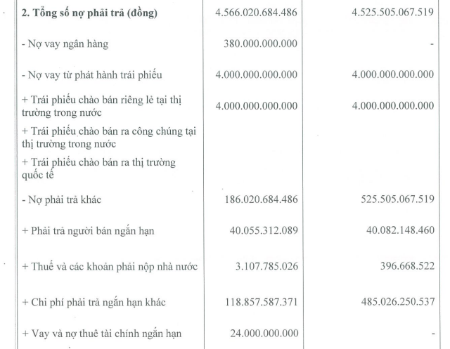 Tân Liên Phát Tân Cảng lỗ ròng gần 400 tỷ đồng năm 2024 - Ảnh 1.
