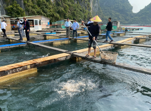 Kho báu dưới nước của Việt Nam được Hàn Quốc, Thái Lan cực kỳ mê: Nửa năm thu hơn 300 triệu USD, Mỹ, Trung Quốc cũng liên tục chốt đơn - Ảnh 1.