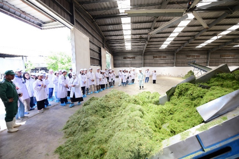 Trang trại Vinamilk Green Farm dưới lăng kính phát triển bền vững có gì đặc biệt? - Ảnh 6.